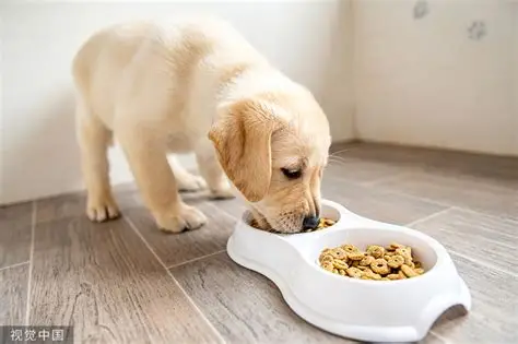 Традиционная мясокостная мука: двухэтапная эволюция индустрии кормов для домашних животных